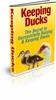 Thumbnail Keeping Ducks with PLR - HOT ITEM !!! Thumbnail Keeping Ducks with PLR - HOT ITEM !!!