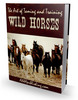 Thumbnail The Art of Taming and Training Wild Horses