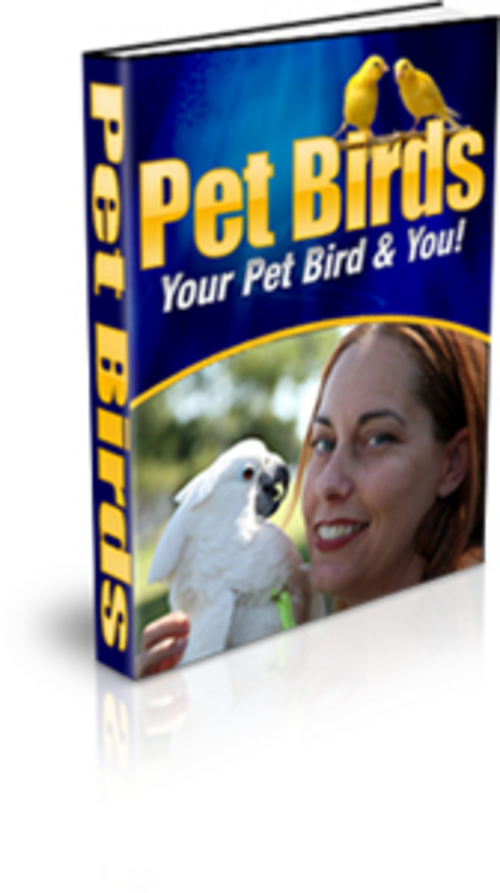 Product picture NEW ! Pet Birds - HOT ITEM!!!