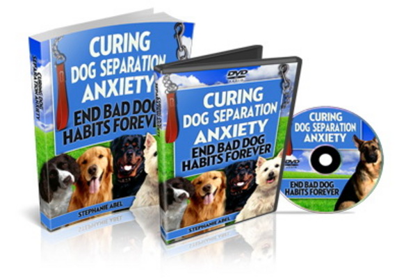 Product picture Curing Dog Separation Anxiety with PLR